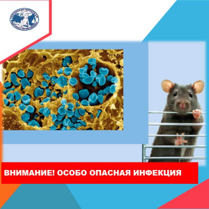 Особо опасная инфекция проявилась в ХМАО