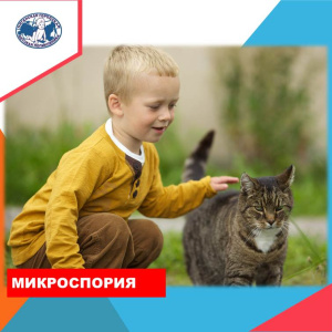 Сезонные заболевания под контроль специалистов 
