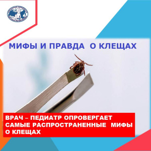 Врач – педиатр опровергает самые распространенные  мифы о клещах