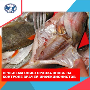Молчаливая  инфекция. Описторхоз