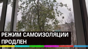 Режим самоизоляции продлен 