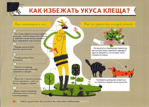 Как избежать укуса клещей