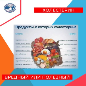 Холестерин: вредный или полезный?