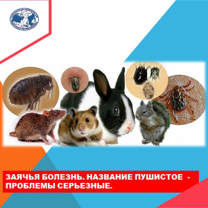 И вновь о профилактике туляремии