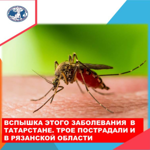 Внимание! Лихорадка Западного Нила зафиксирована в России 