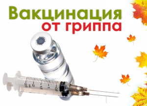 Вакцинопрофилактика против гриппа. Выступление Н.Артюх врача-эпидемиолога 