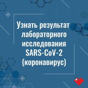 Результаты тестирования в электронном виде 