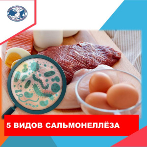 Соблюдение простых правил убережет вас от  кишечной  инфекции