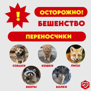 Что мы знаем о бешенстве?