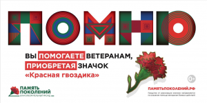 Акция «Красная гвоздика» - это самый простой шаг, чтобы помочь ветеранам нашей страны