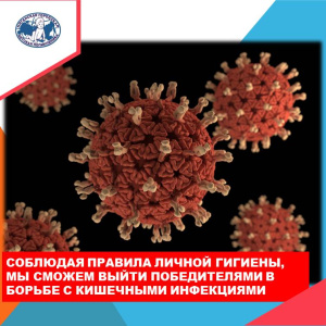 Советы по профилактике ротавирусной инфекции