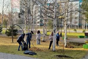 Завершающим аккордом осенней поры 