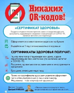 Госдумой в первом чтении принят законопроект, который заменит QR-коды на сертификаты здоровья.