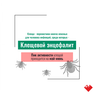 Как обезопасить себя от клещевого энцефалита. Читайте в карточках!