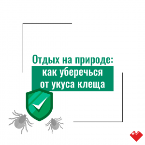   Как защититься от укуса клеща и что делать, если это произошло?  Подробнее в карточках