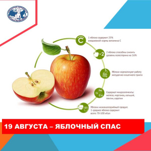 Яблоки - фрукт здоровья 
