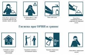 Руки нужно мыть чаще 