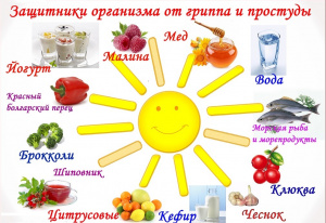 Питание детей в сезон простудных заболеваний 