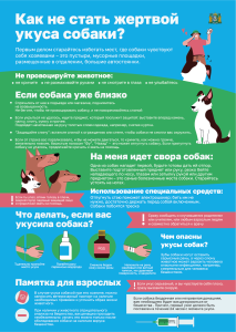 Что делать, если вас укусила собака?