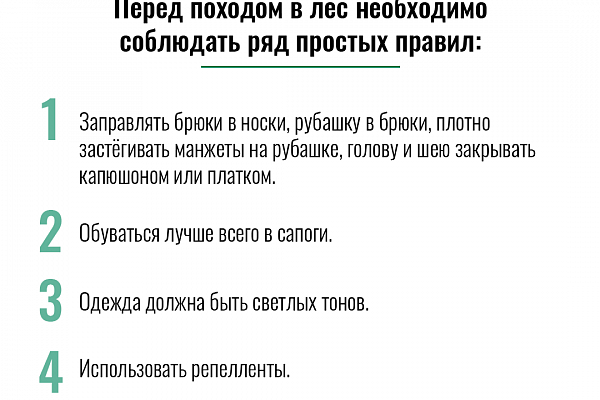 Как обезопасить себя от клещевого энцефалита. Читайте в карточках!