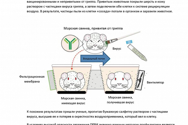 Маска снижает риск заражения минимум на 40%