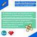 Что делать если укусила собака или кошка? 