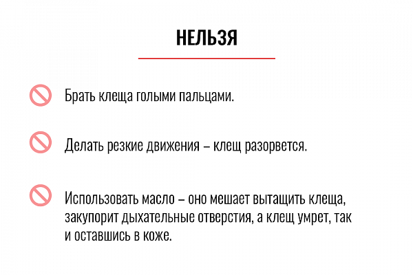 Как обезопасить себя от клещевого энцефалита. Читайте в карточках!
