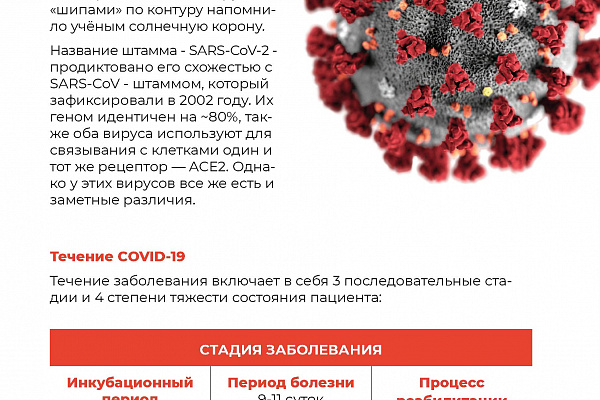 Все о COVID-19