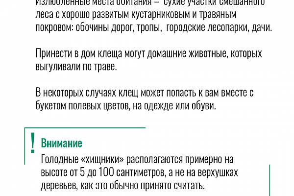 Как обезопасить себя от клещевого энцефалита. Читайте в карточках!