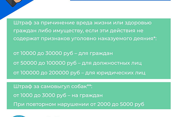 Что делать если укусила собака или кошка? 