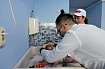 Профосмотры – это «система раннего обнаружения», а ранняя помощь – это «система быстрого реагирования»