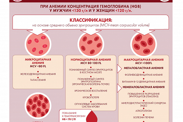 Специалистами ФГБУ «НМИЦ гематологии» Минздрава России разработана серия инфографики, где в простой и доступной форме представлена информация о заболеваниях системы крови