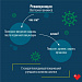 Когда? Кому? и Зачем?  Доступно и понятно расскажет инфографика о  вакцинации